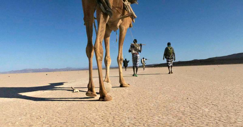 Immagine: La vera storia di Chicken Road: il gioco di carte popolare in Italia